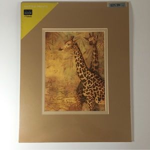 Safari Elephant and giraffe pictures